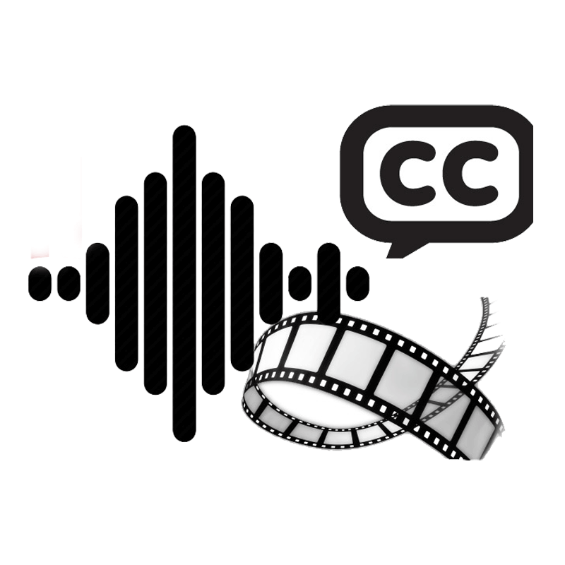 Audio Tracks and Subtitles