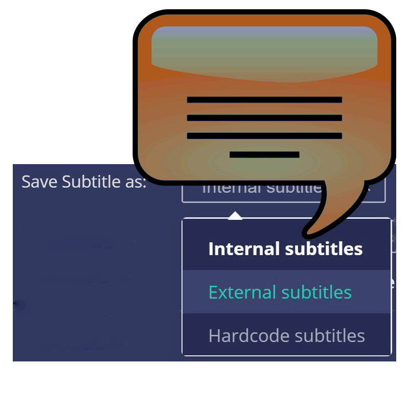 Save subtitles