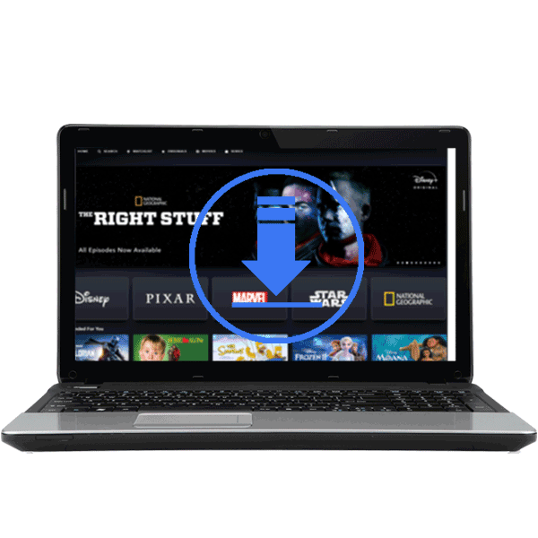 Disney Plus Video Downloader