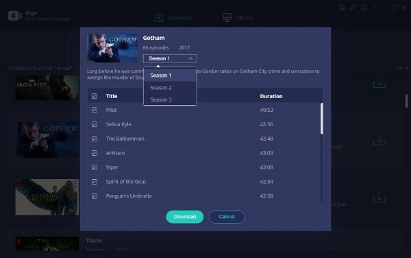 Netflix Downloader Search Window